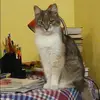 Отзыв от Зоя Чистякова